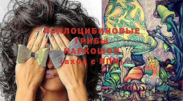 ГАЛЛЮЦИНОГЕННЫЕ ГРИБЫ Баксан