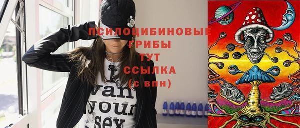 ГАЛЛЮЦИНОГЕННЫЕ ГРИБЫ Баксан
