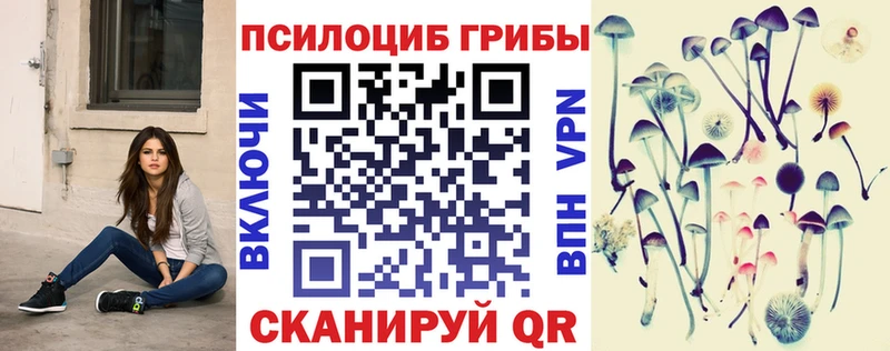 Галлюциногенные грибы GOLDEN TEACHER blacksprut рабочий сайт Новомосковск купить наркотики цена